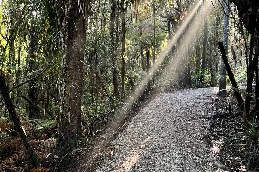Kawatiri Coastal Trail