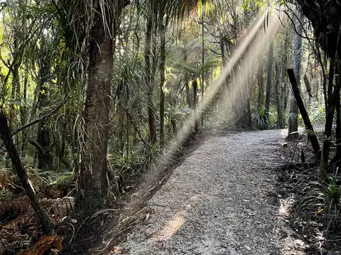 Kawatiri Coastal Trail