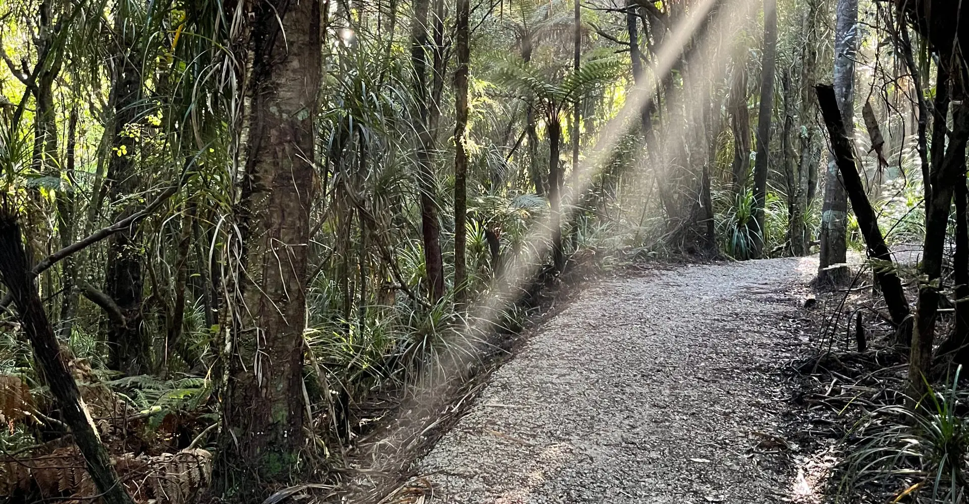 Kawatiri Coastal Trail